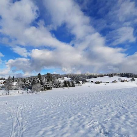Gemuetliche Ferienwohnung Fuer 4 Gaeste In Schoenwald Schönwalde Zewnętrze zdjęcie